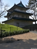 Le parc Kitanomaru à côté du palais imperial abrite de belles surprises